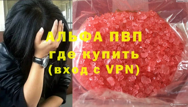 PSILOCYBIN Гусев