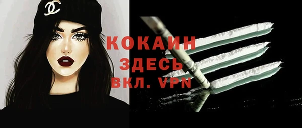 PSILOCYBIN Гусев