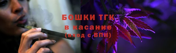 тгк Гусь-Хрустальный