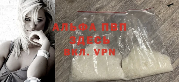 PSILOCYBIN Гусев