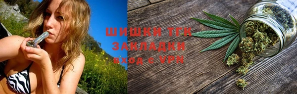 PSILOCYBIN Гусев