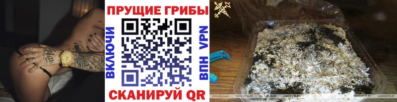 Галлюциногенные грибы Psilocybine cubensis  наркота  Новоржев 